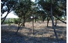 Property photo 7 - Bank Owned Real Estate Auction - San Antonio
